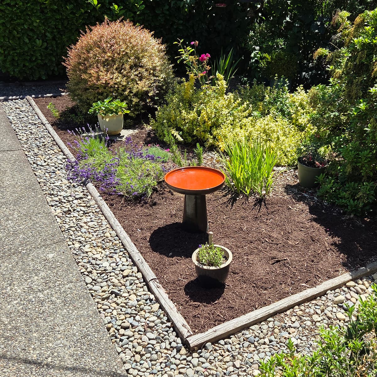 #4499 The Ultimate Snack Down - TBTL: Too Beautiful To Live cover