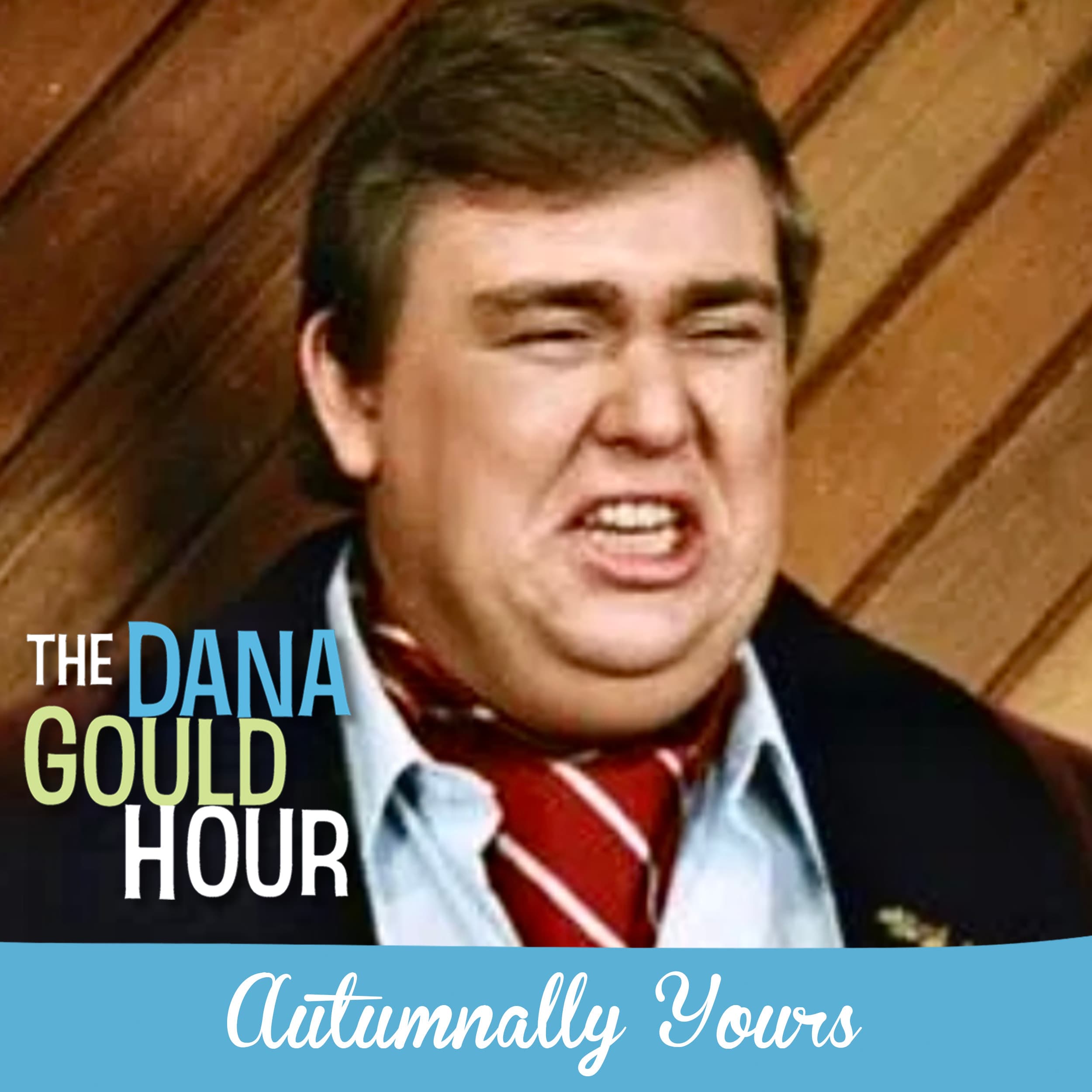 Autumnally Yours - The Dana Gould Hour cover