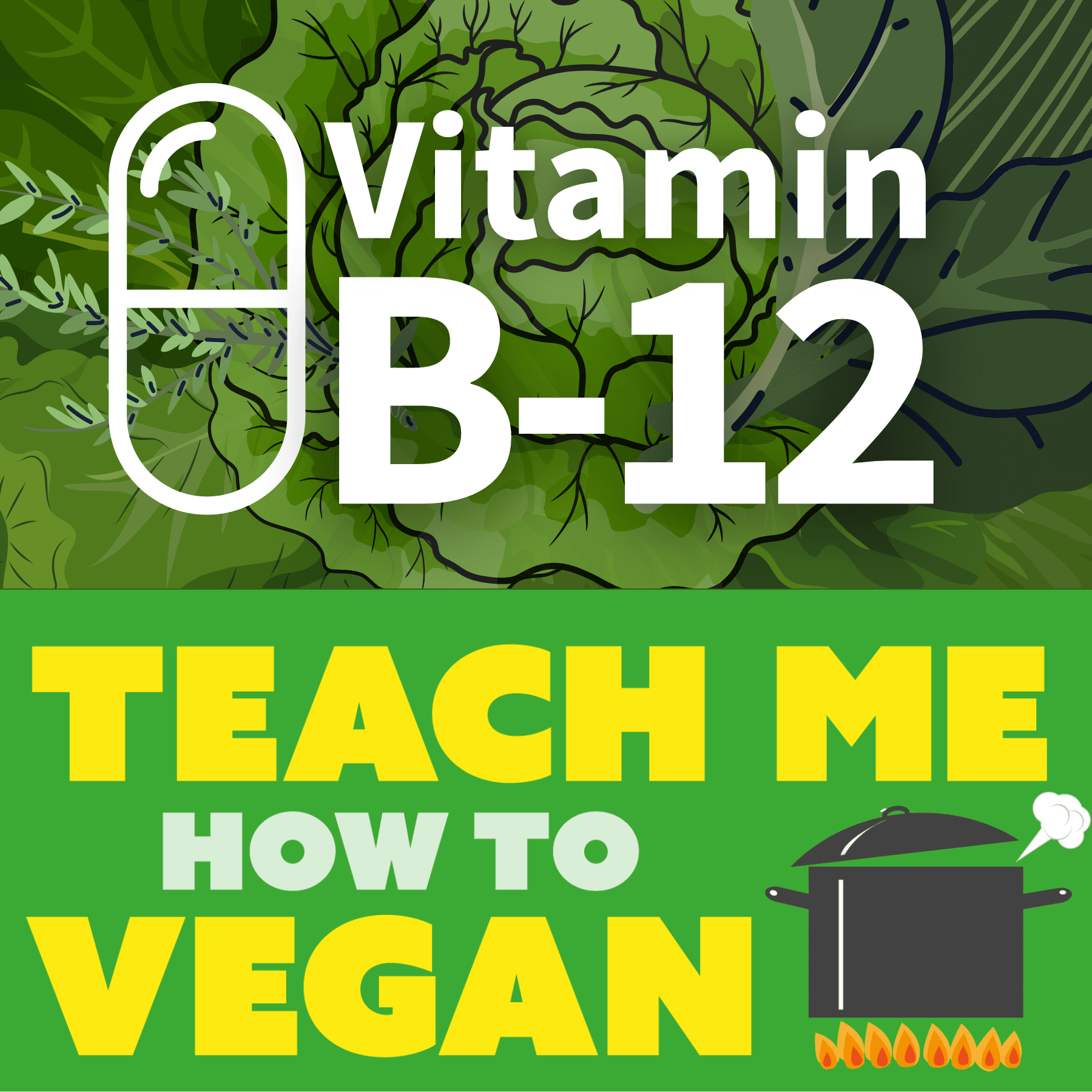 Vitamin B12 w/ special guest Gabriel Gaarden - Teach Me How To Vegan cover