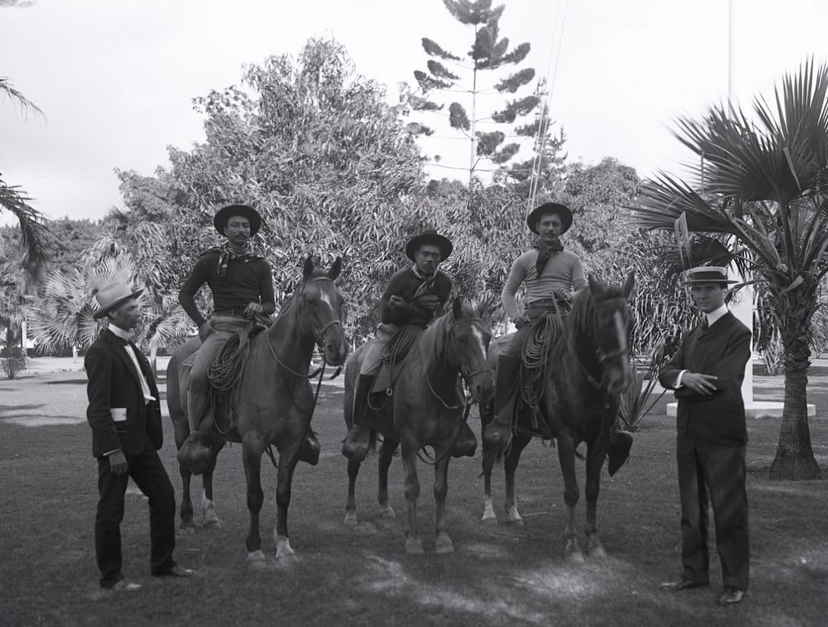 Hawaiian Rodeo Cowboys - Citation Needed cover