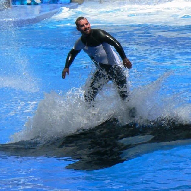 Seaworld - Citation Needed cover