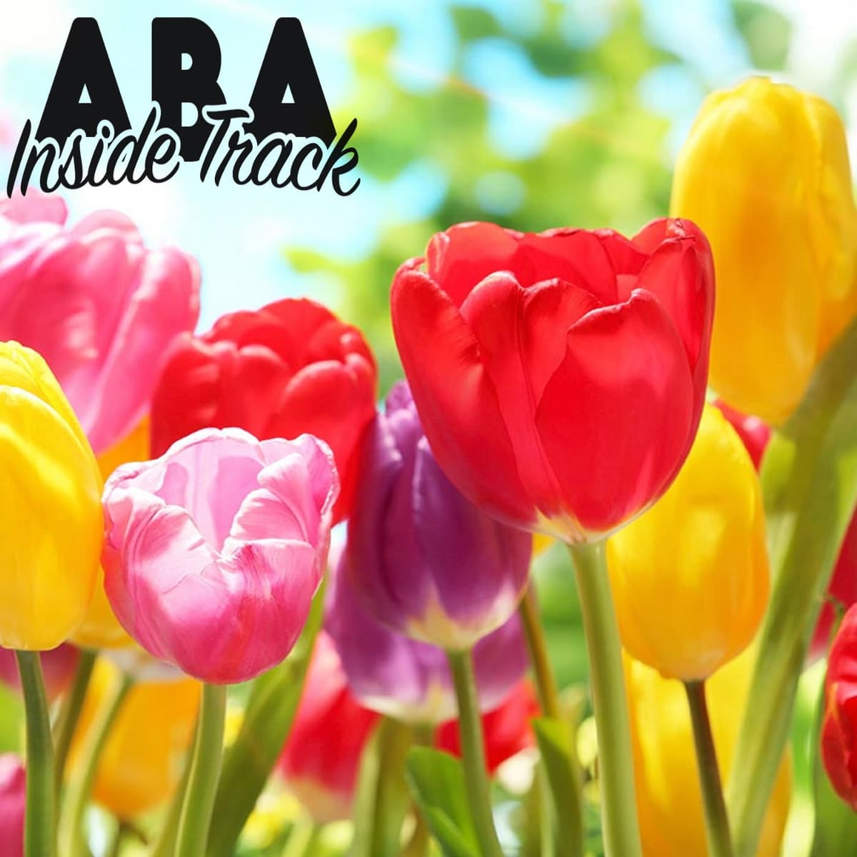 Episode 205 - Joy and the Big Four w/ Dr. Shahla Ala'i-Rosales - ABA Inside Track cover