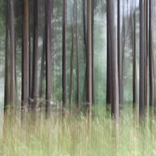 Darkhorse Radio - show 111 (10 Feb 2012) — Darkhorse Radio cover