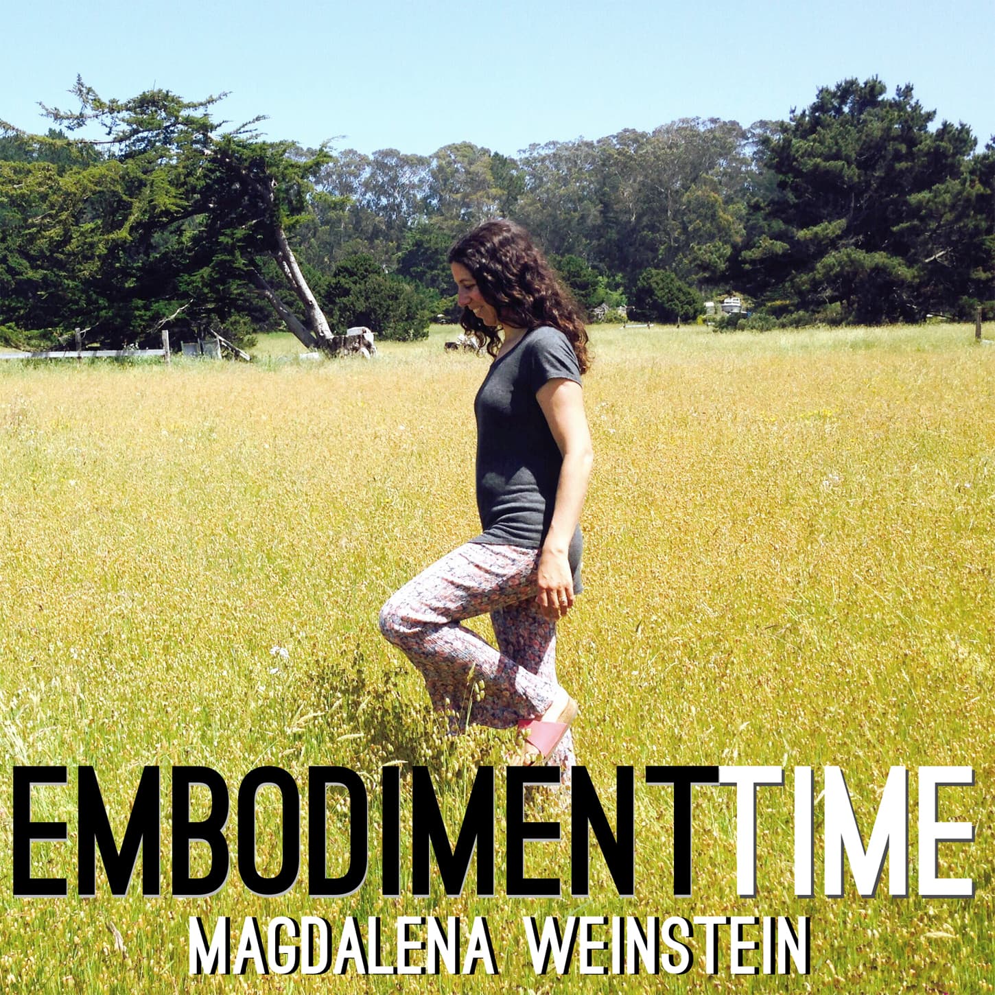 12. Mark Walsh - Moving Beyond Mindfulness - Embodiment Time cover