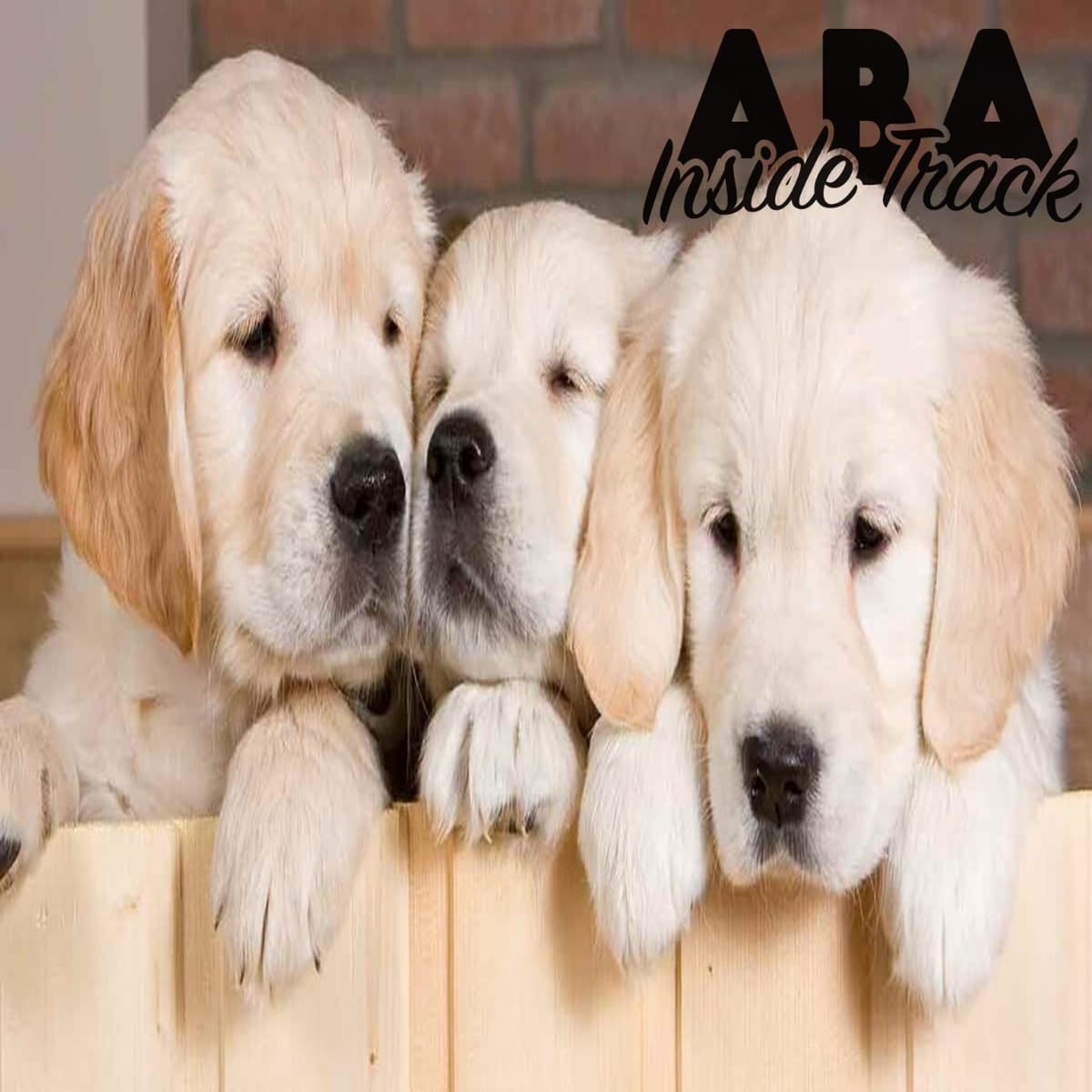 May 2023 Preview - ABA Inside Track cover