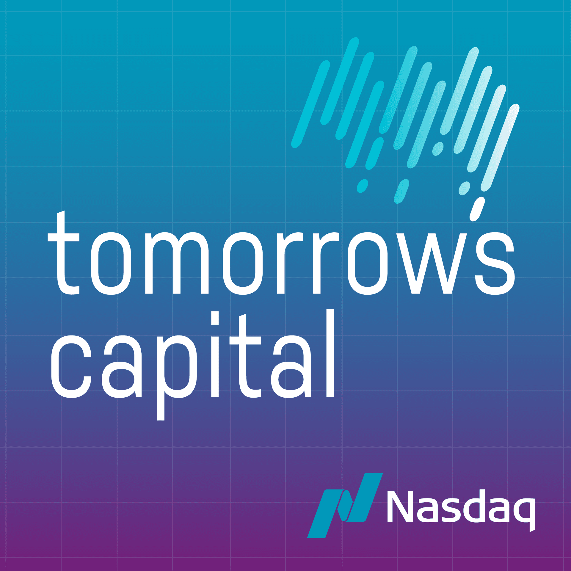 America 2.0 With Tech Journalist Kara Swisher - Tomorrow's Capital cover