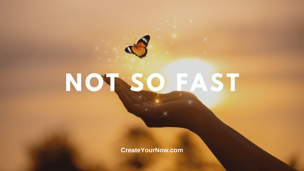 3990 Not So Fast - Create Your Now with Kristianne Wargo cover