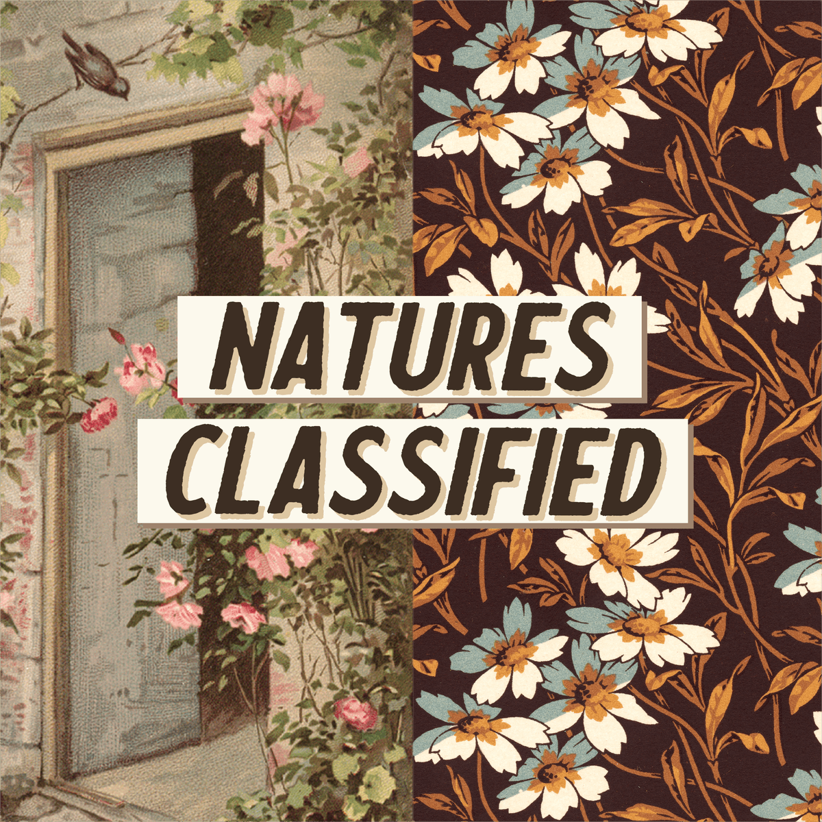 Before the Beginning - Nature's Classified cover