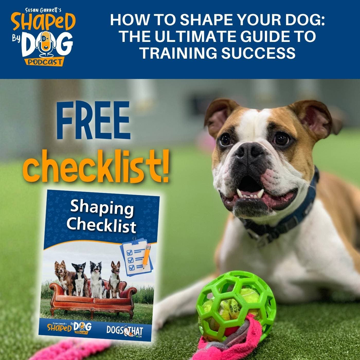 How To Shape Your Dog: The Ultimate Guide To Training Success #328 - Shaped by Dog with Susan Garrett cover