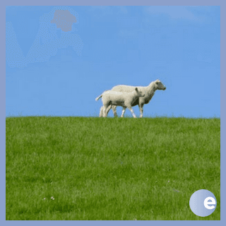 Lying Down In Green Pastures - EncounterPodcast cover