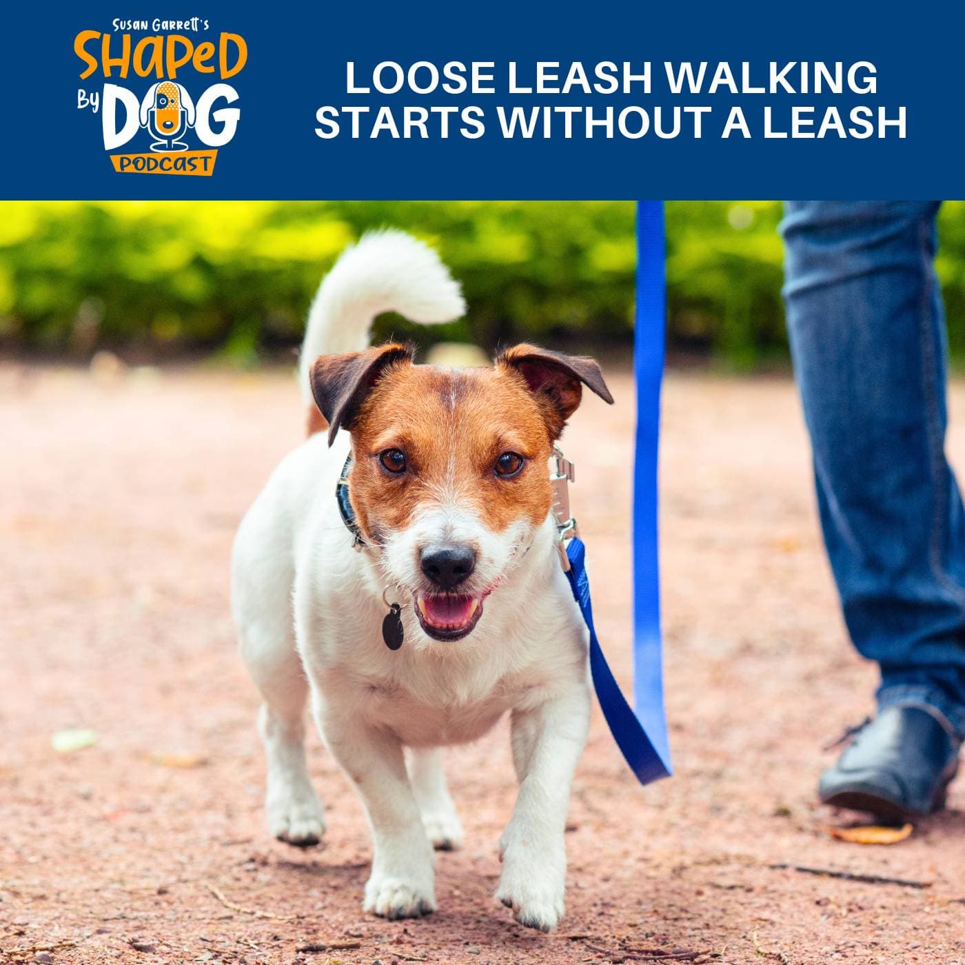 Loose Leash Walking Starts Without A Leash #322 - Shaped by Dog with Susan Garrett cover