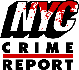 Murder Plot Cop - The New York City Crime Report with Pat Dixon cover