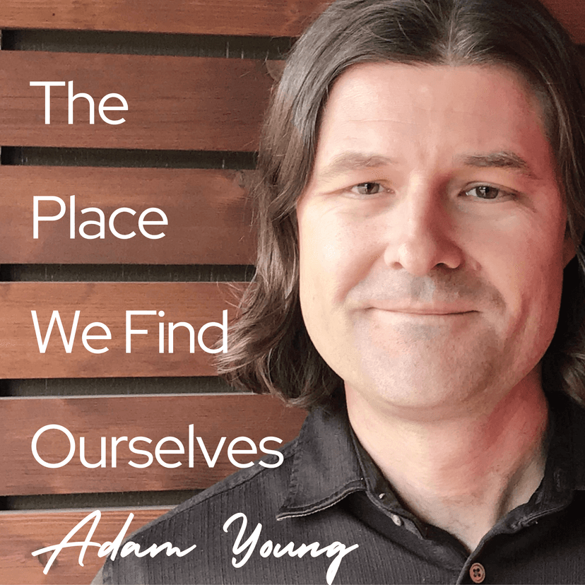 The Place We Find Ourselves cover