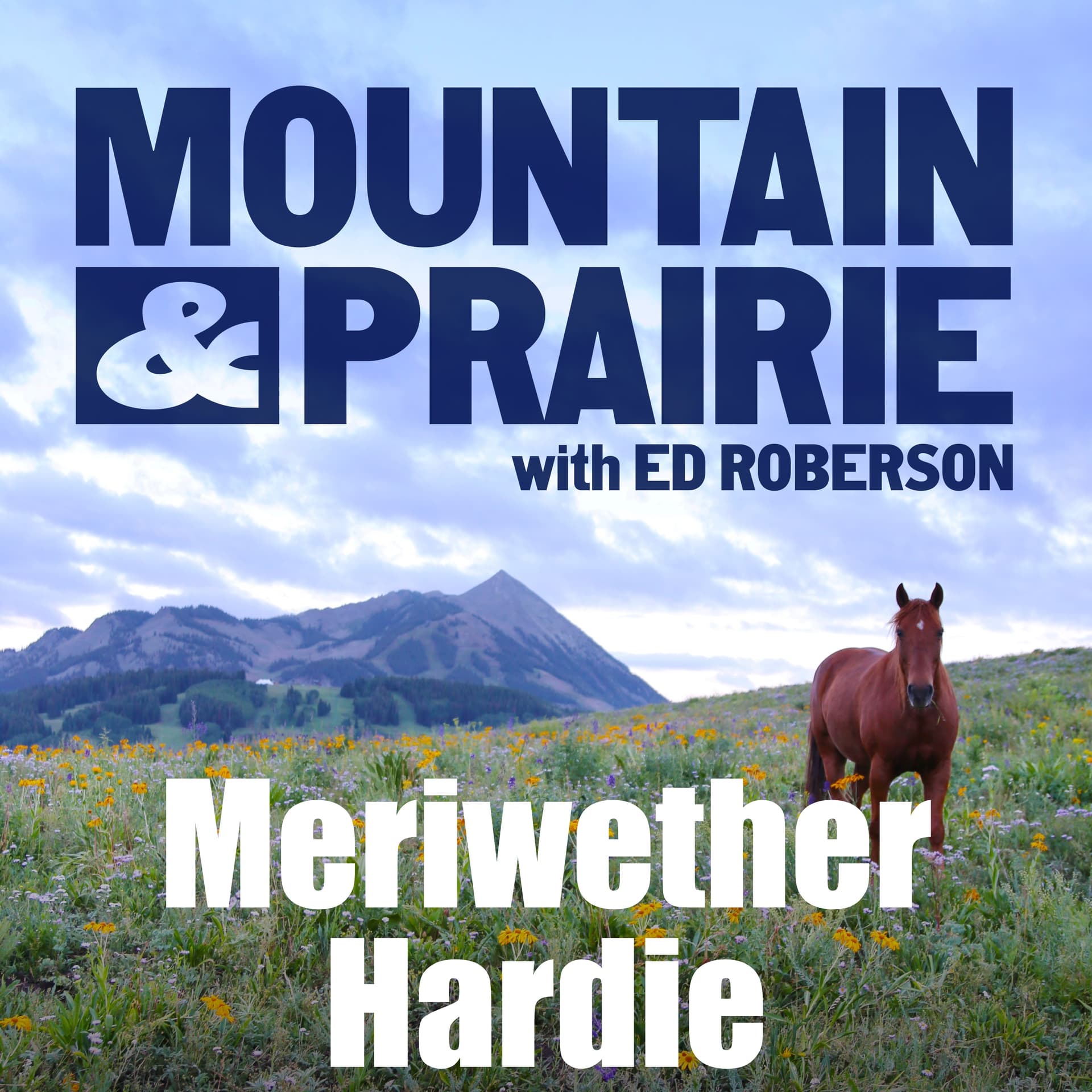 Meriwether Hardie - What You Learn Riding Across the West - Mountain & Prairie with Ed Roberson cover