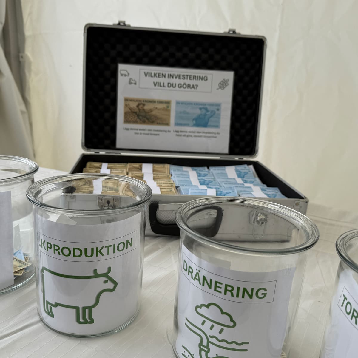 Var gör pengarna bäst nytta? - Gröna pengar - en podd från SLU cover