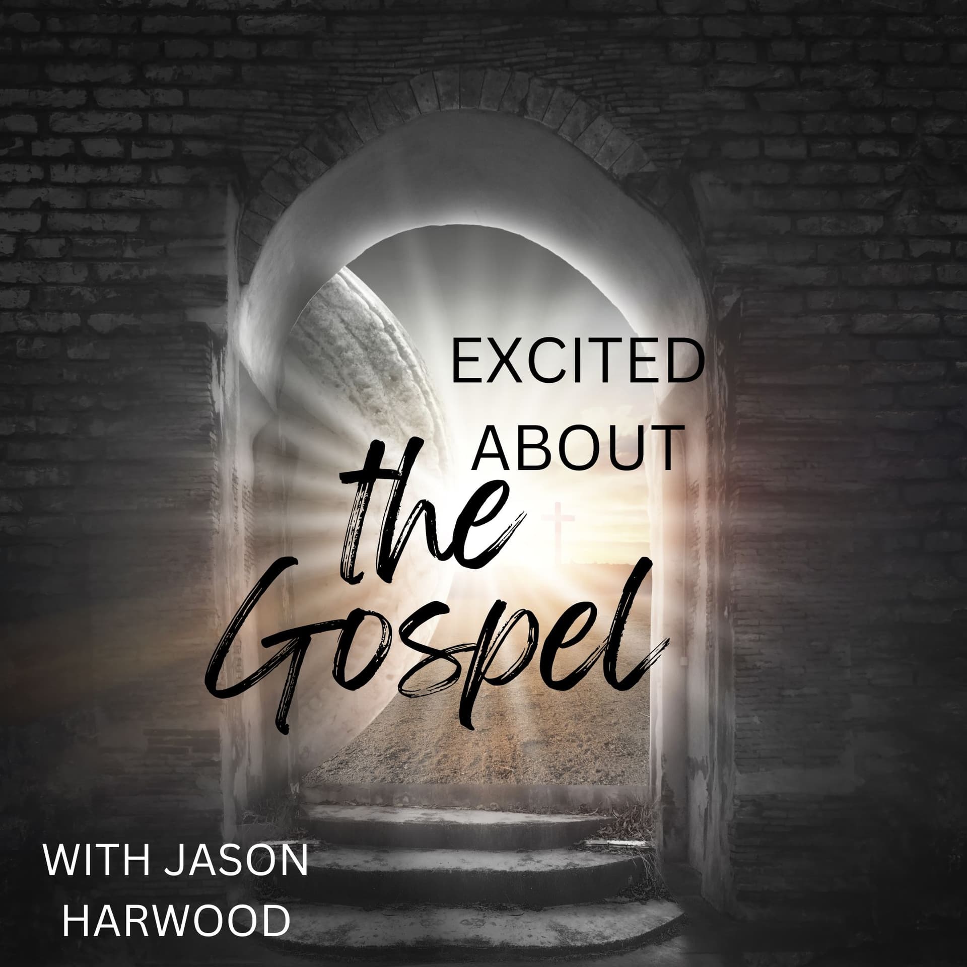 Excited About the Gospel cover