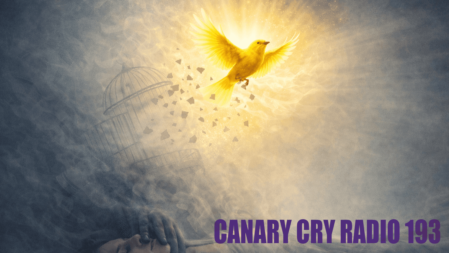 Spiritual Warfare with Vicky Joy Anderson | CCR 193 - Canary Cry News Talk cover