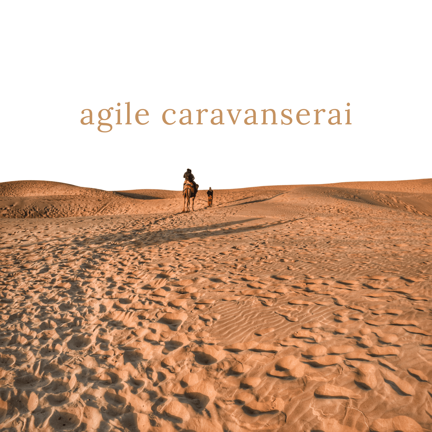 Agile Caravanserai cover