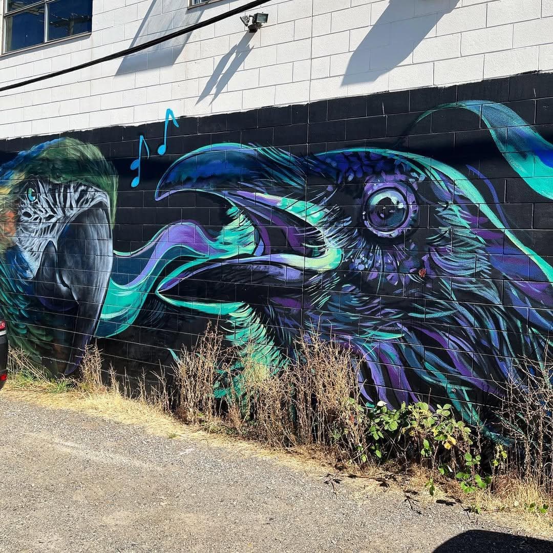 FP604 - The Outsiders: Checkpoint Whiskey Tango Foxtrot, Part 3 of 3 - The Skinner Co. Network cover