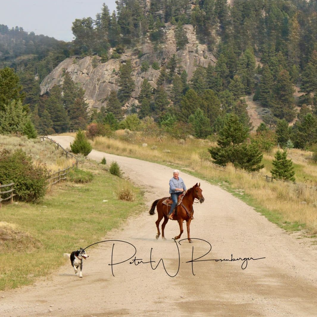 Ride Out and Meet Them: How Charlie Kirk and Luther Point Us to Christ's Victory - Hope for the Caregiver cover