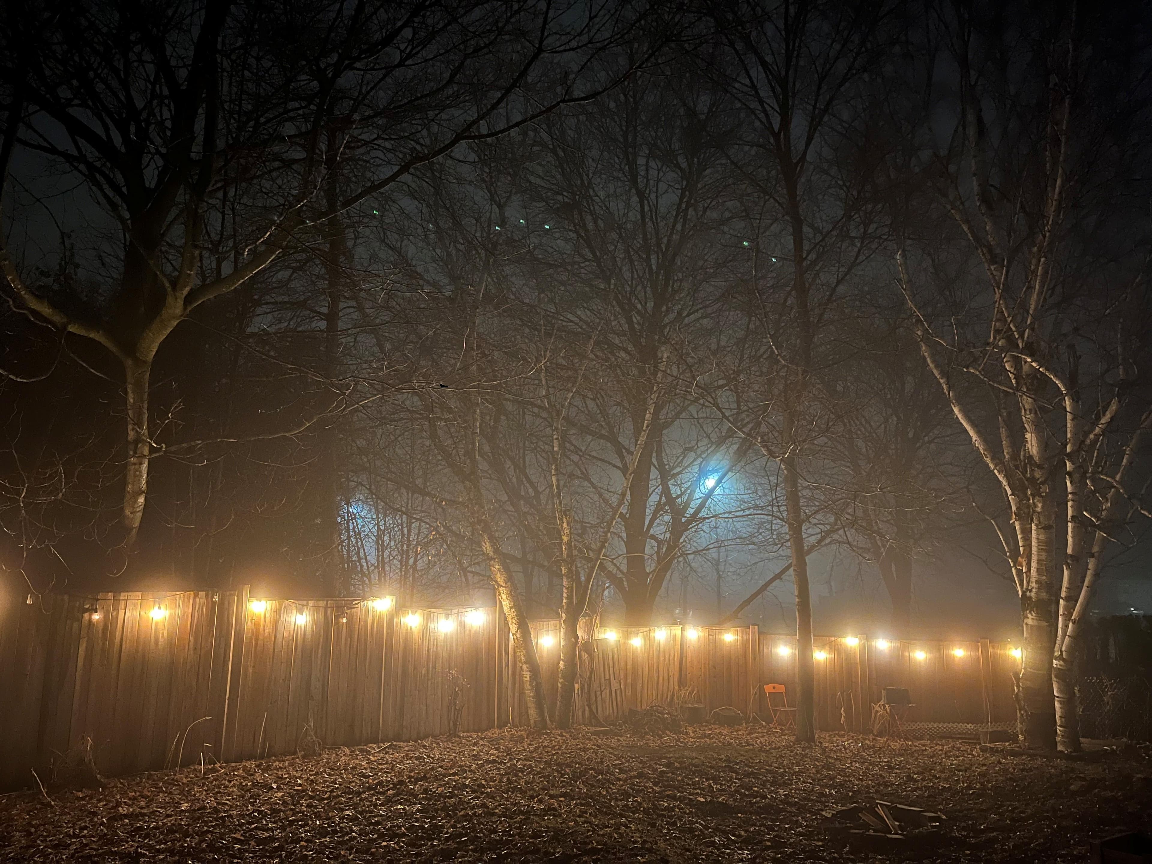 FPSE59 - The Tiny Radio - The Skinner Co. Network cover