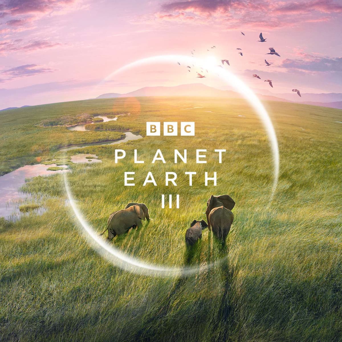 Fredi Devas - Director Planet Earth II & III, Seven Worlds One Planet, Antarctica IMAX - Behind the Wild Lens cover