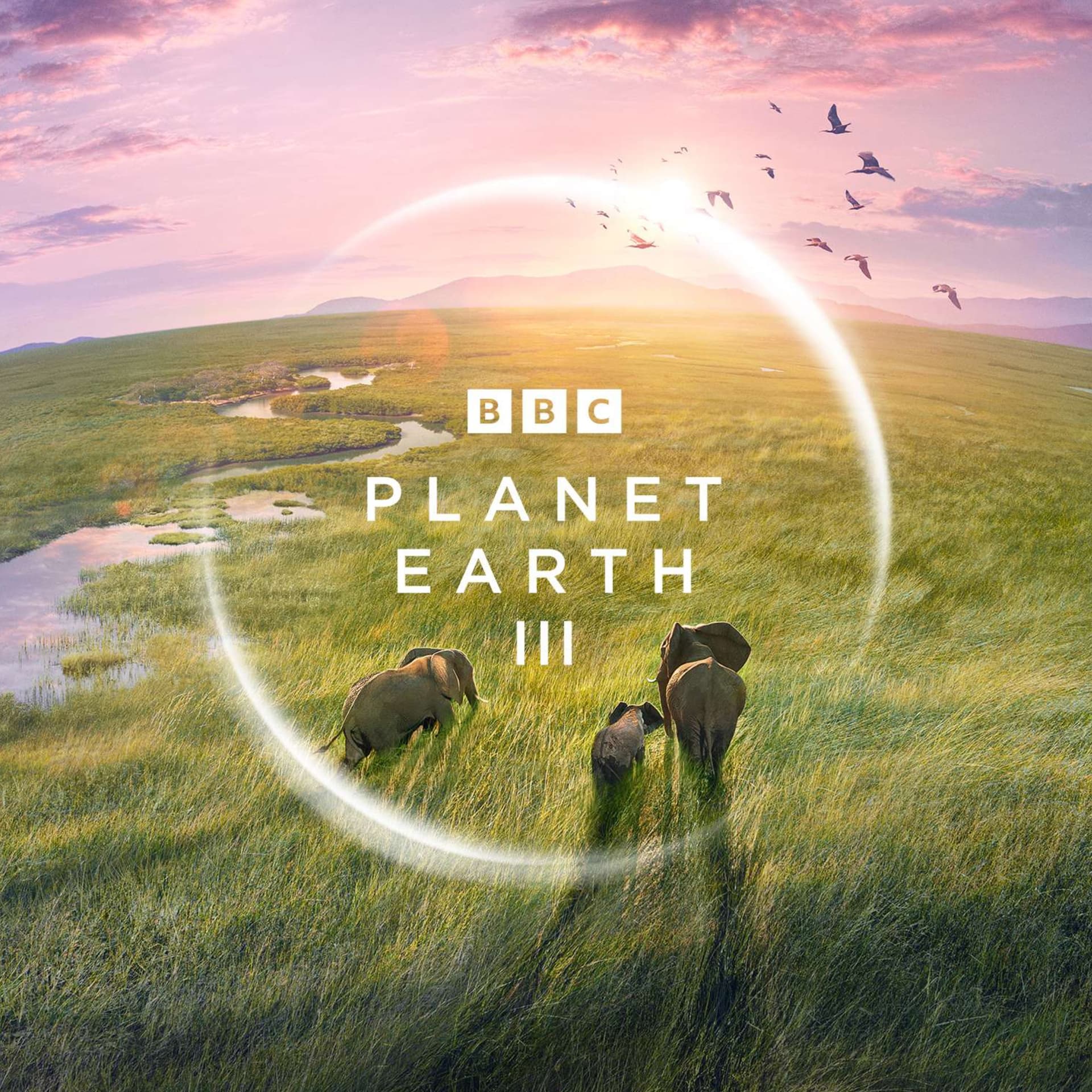 Fredi Devas - Director Planet Earth II & III, Seven Worlds One Planet, Antarctica IMAX - Behind the Wild Lens cover
