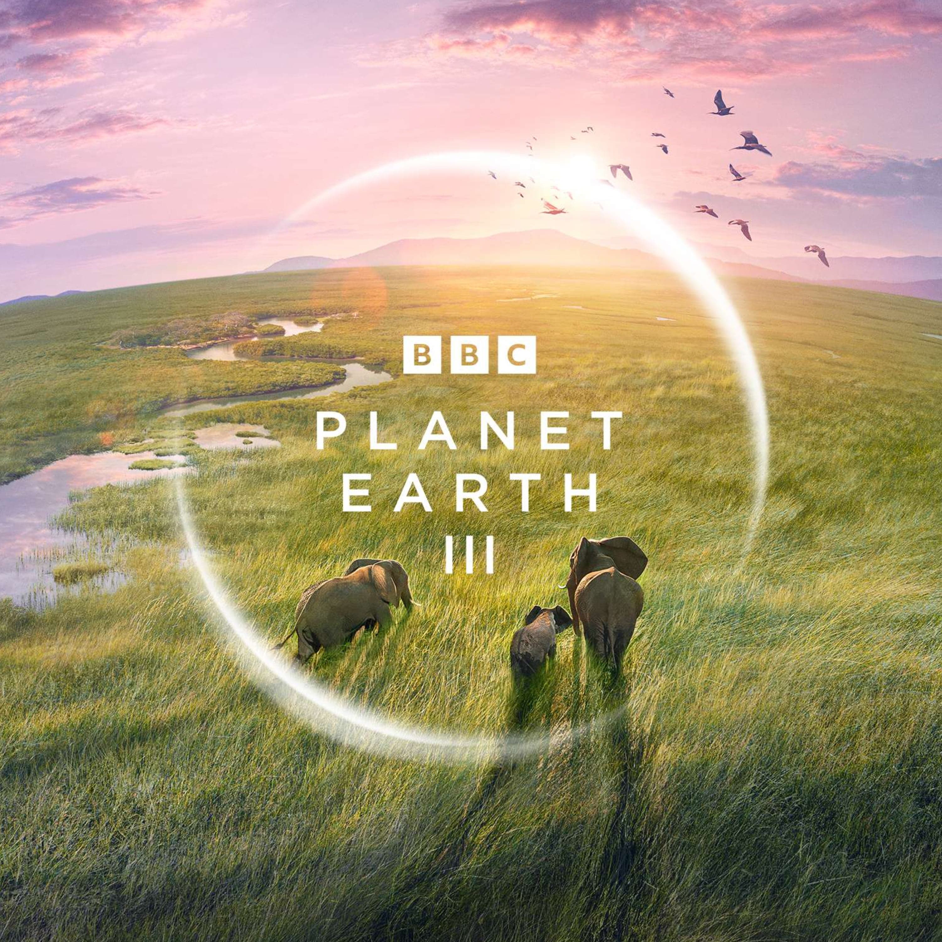 Fredi Devas - Director Planet Earth II & III, Seven Worlds One Planet, Antarctica IMAX - Behind the Wild Lens cover