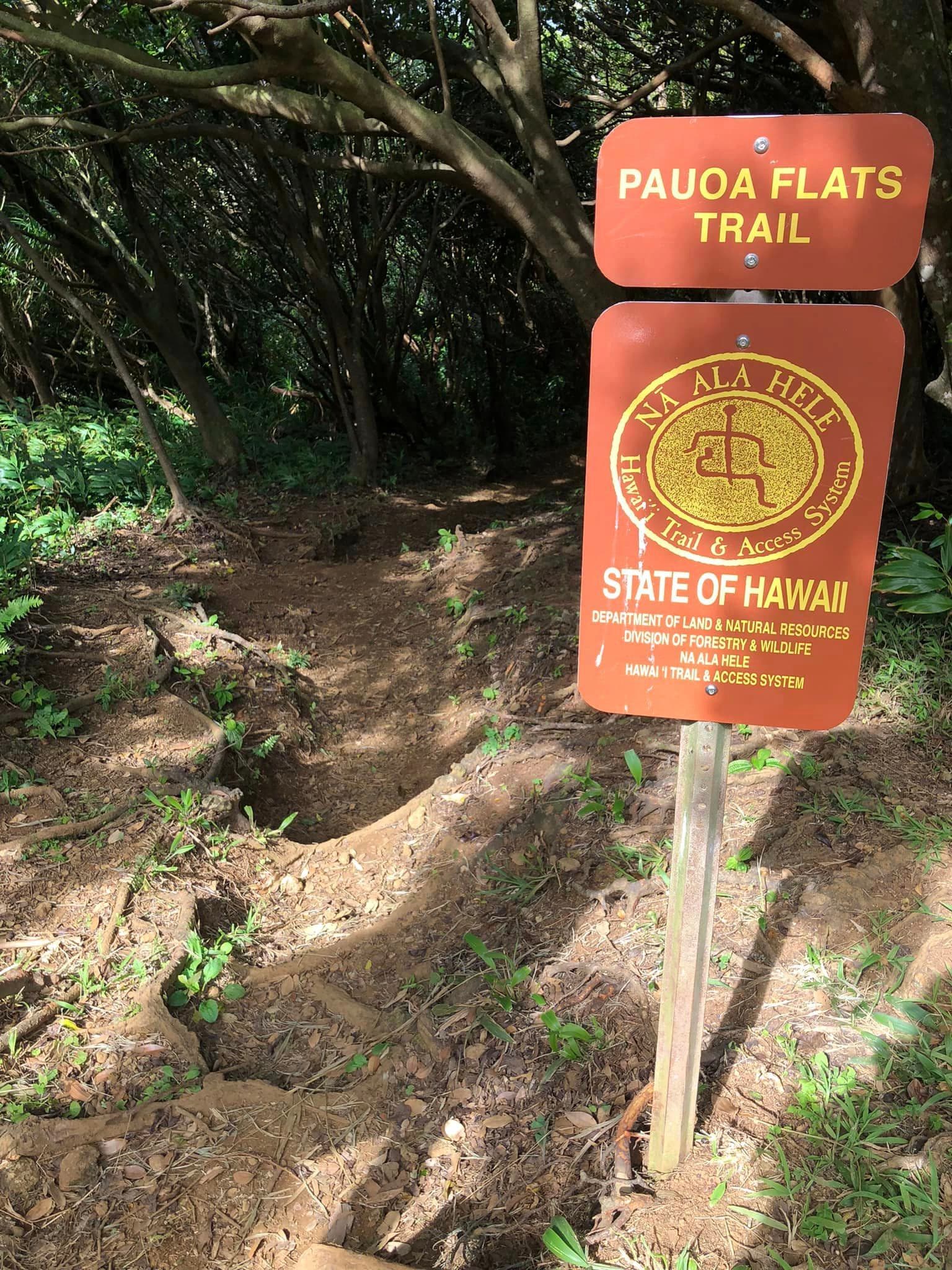 RS CLXXXVI Pre HURT 100 2032 - Running Stupid cover