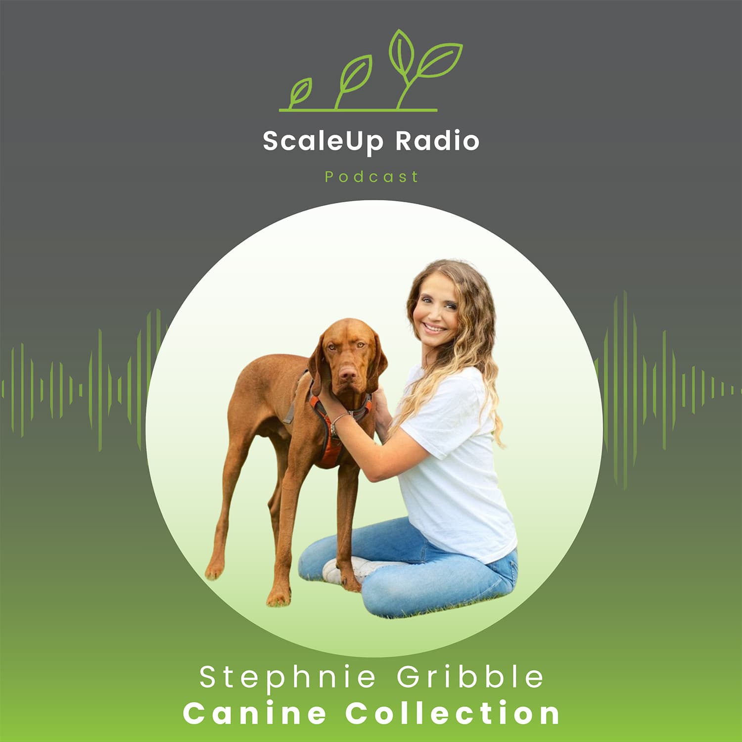 Episode #439 - Building A Successful Canine Online Presence, Which Isn’t To Be Sniffed At - with Stephnie Gribble from Canine Collection — ScaleUp Radio cover