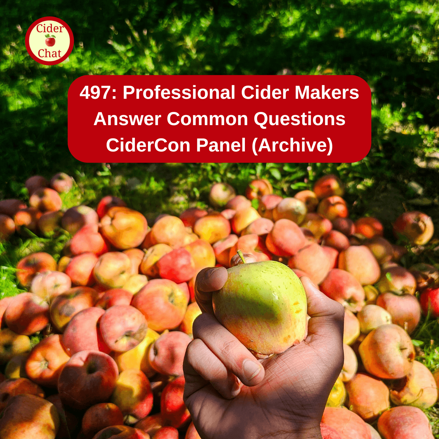 497:Beginner Cider Makers Q&A | Advice from Professional Cider Makers (Archive) - Cider Chat cover