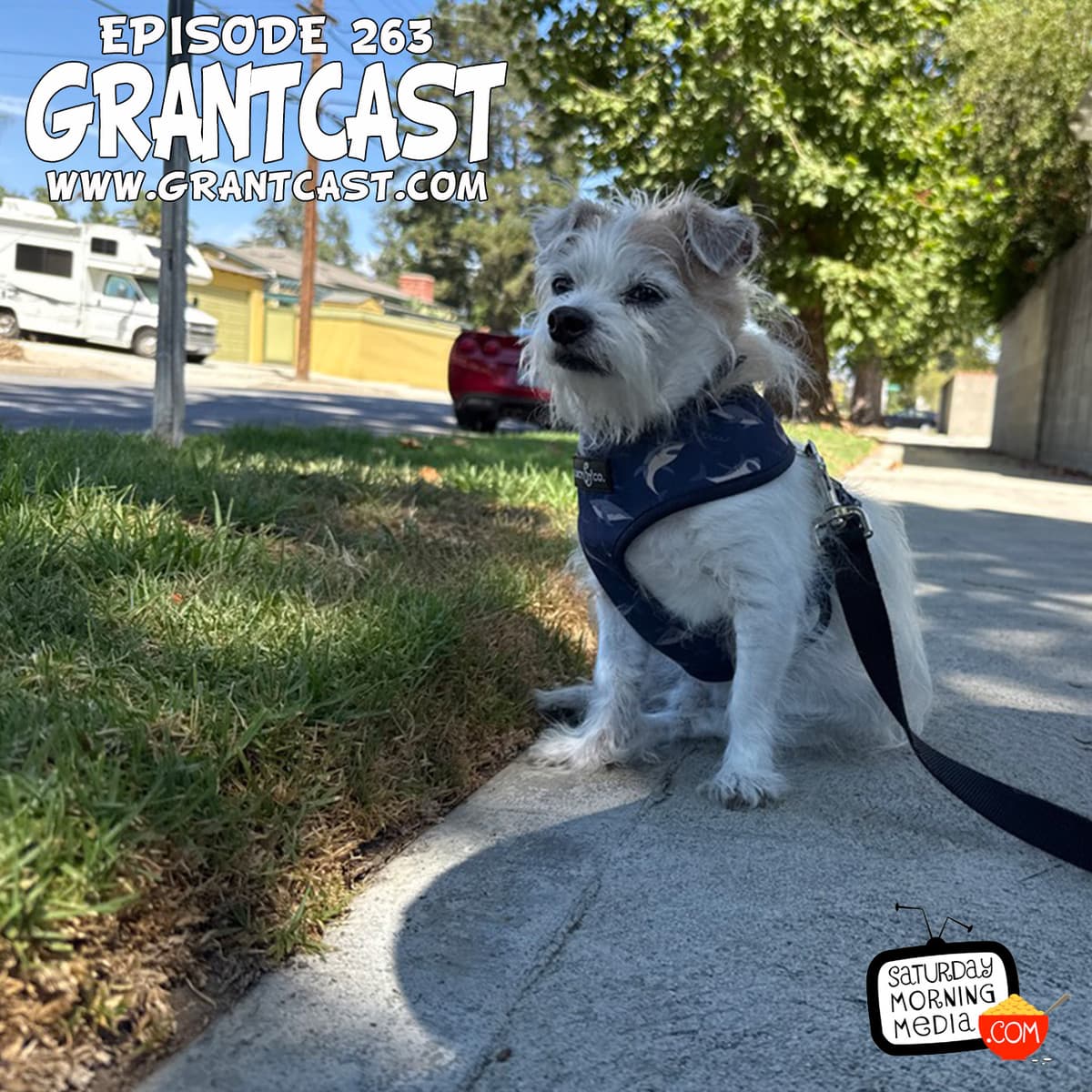 263 - These are fun things. - The GrantCast - The GrantCast cover