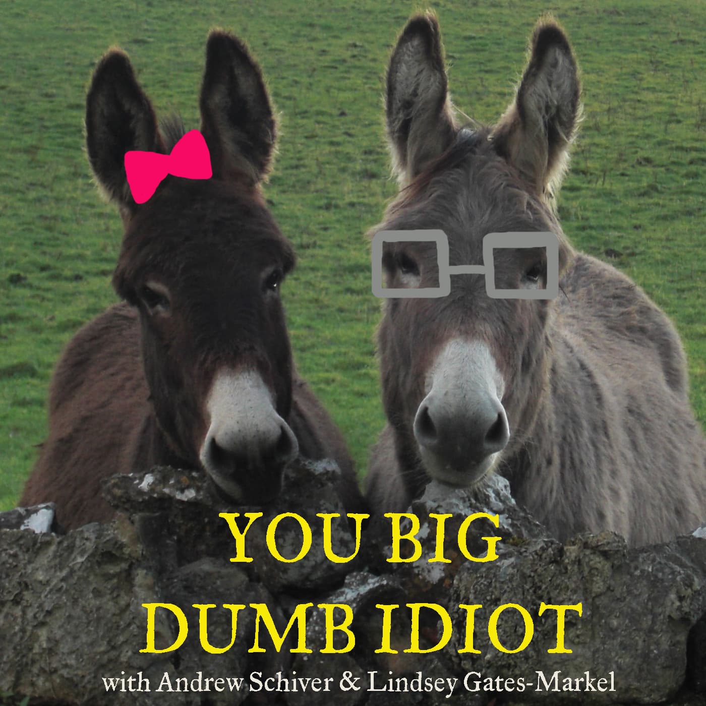 039: Politics/Figuratively Hitler - You Big Dumb Idiot cover