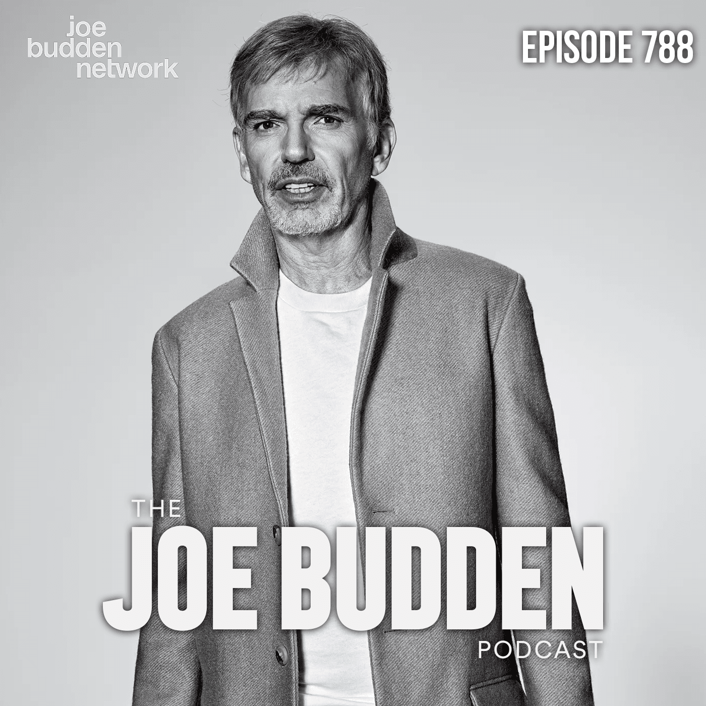 Episode 788 | "What Would Halle Do?" - The Joe Budden Podcast cover