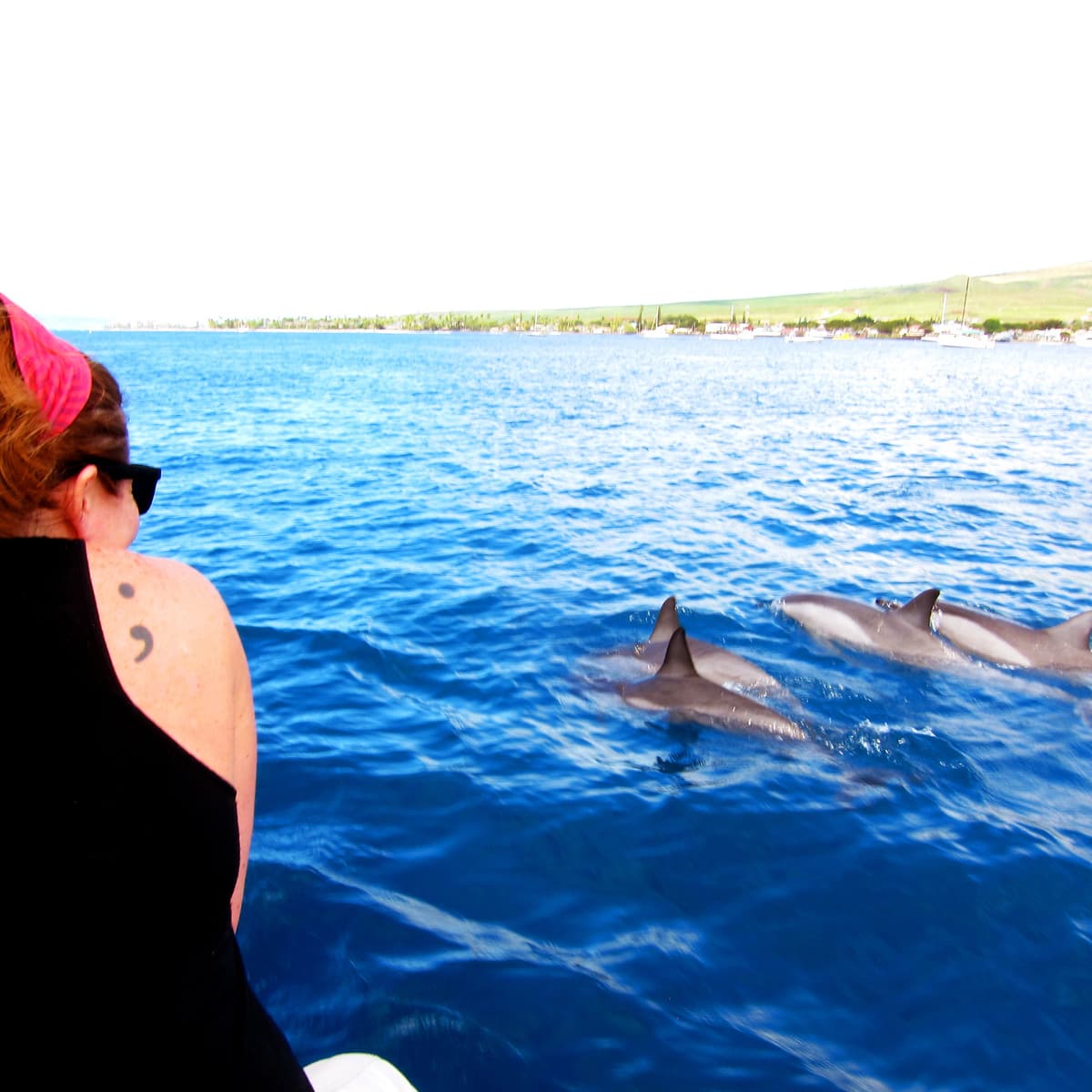 #4667 Bleu Collar - TBTL: Too Beautiful To Live cover