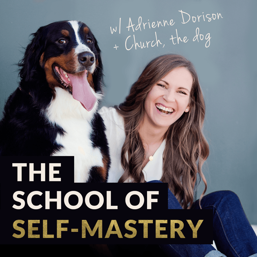 The School of Self-Mastery: Business, Money, Life cover