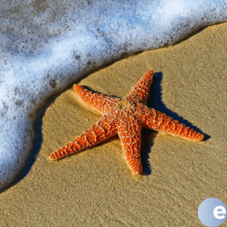 Remember To Serve One Another - EncounterPodcast cover