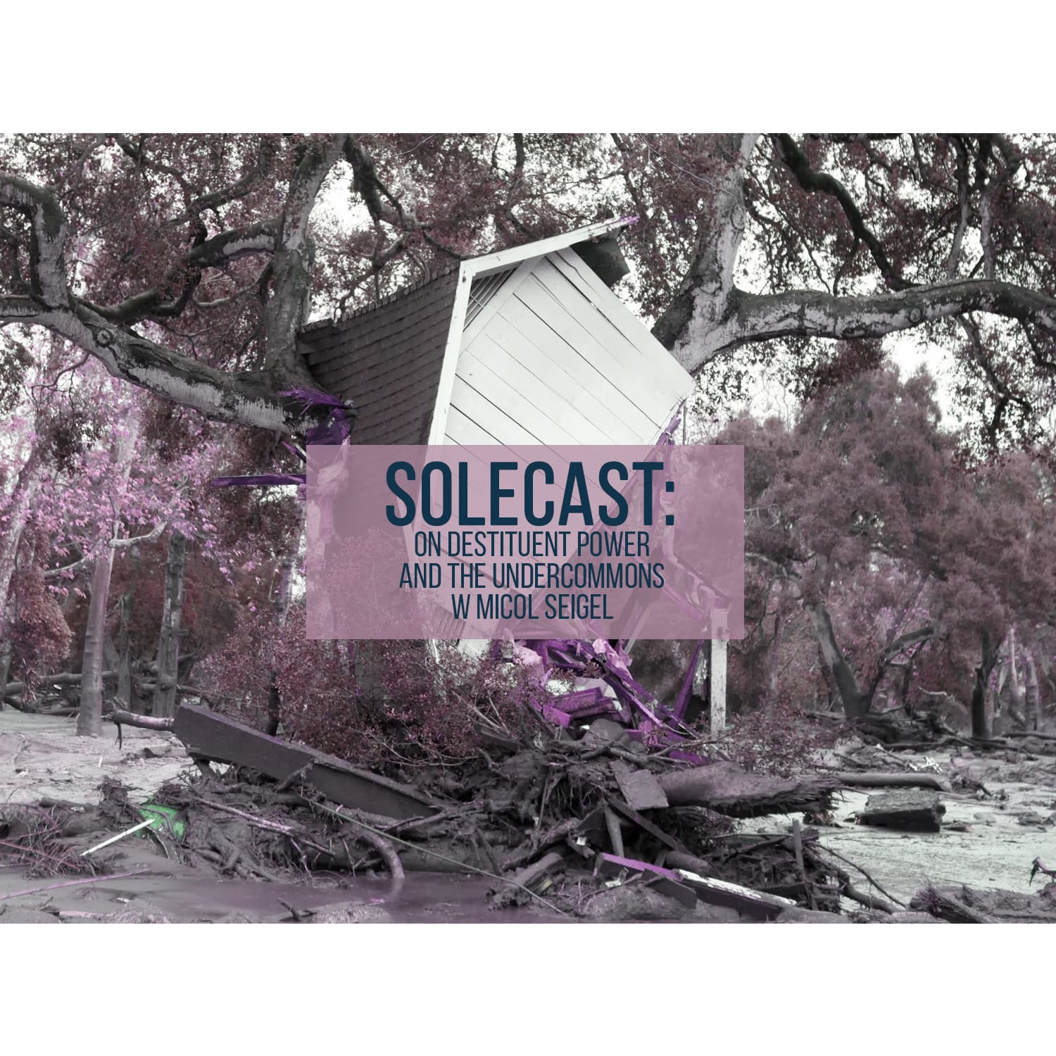On Destituent Power & The Undercommons w/ Micol Seigel - The Solecast cover