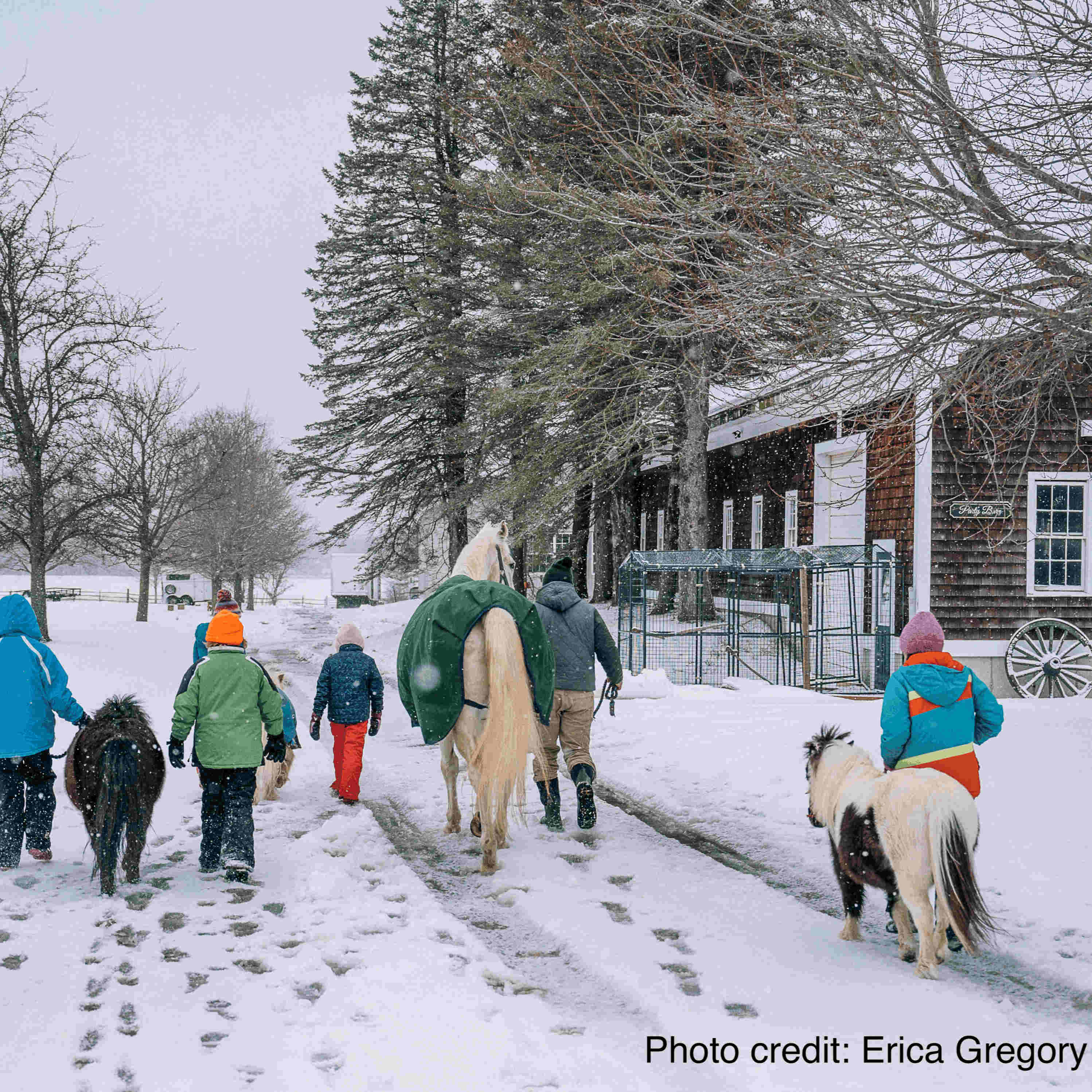 Mother and Students Share Their Experience - The Centaur cover