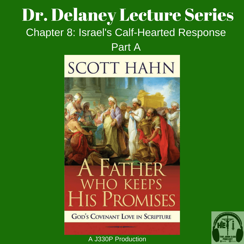 Dr. Delaney Lecture Series - Chapter 8 Part A - The John 3:30 Podcast cover