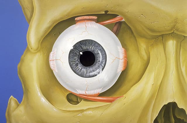 425. Thyroid-Associated Orbitopathy (Thyroid Eye Disease) - Surgery 101 cover