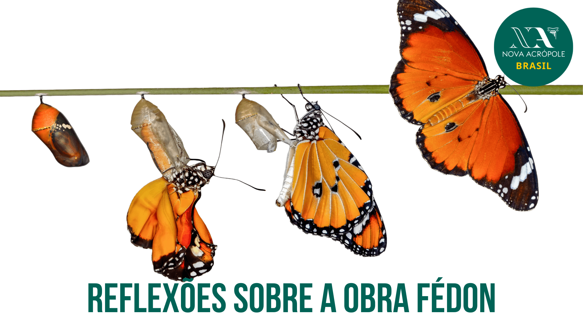 Reflexões sobre a obra Fédon — Nova Acropole Podcast Filosofia cover