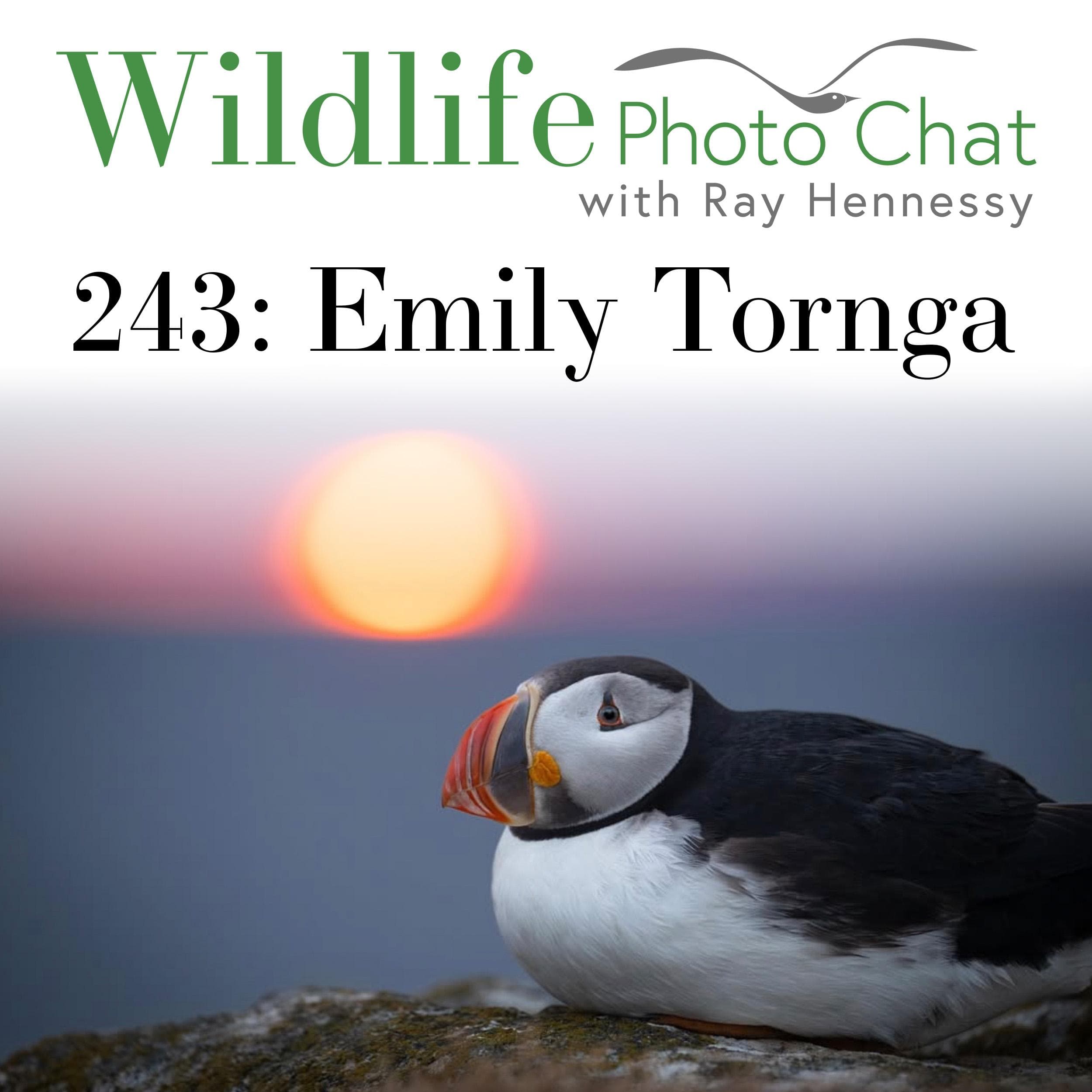 243: Emily Tornga - Wildlife Photo Chat cover