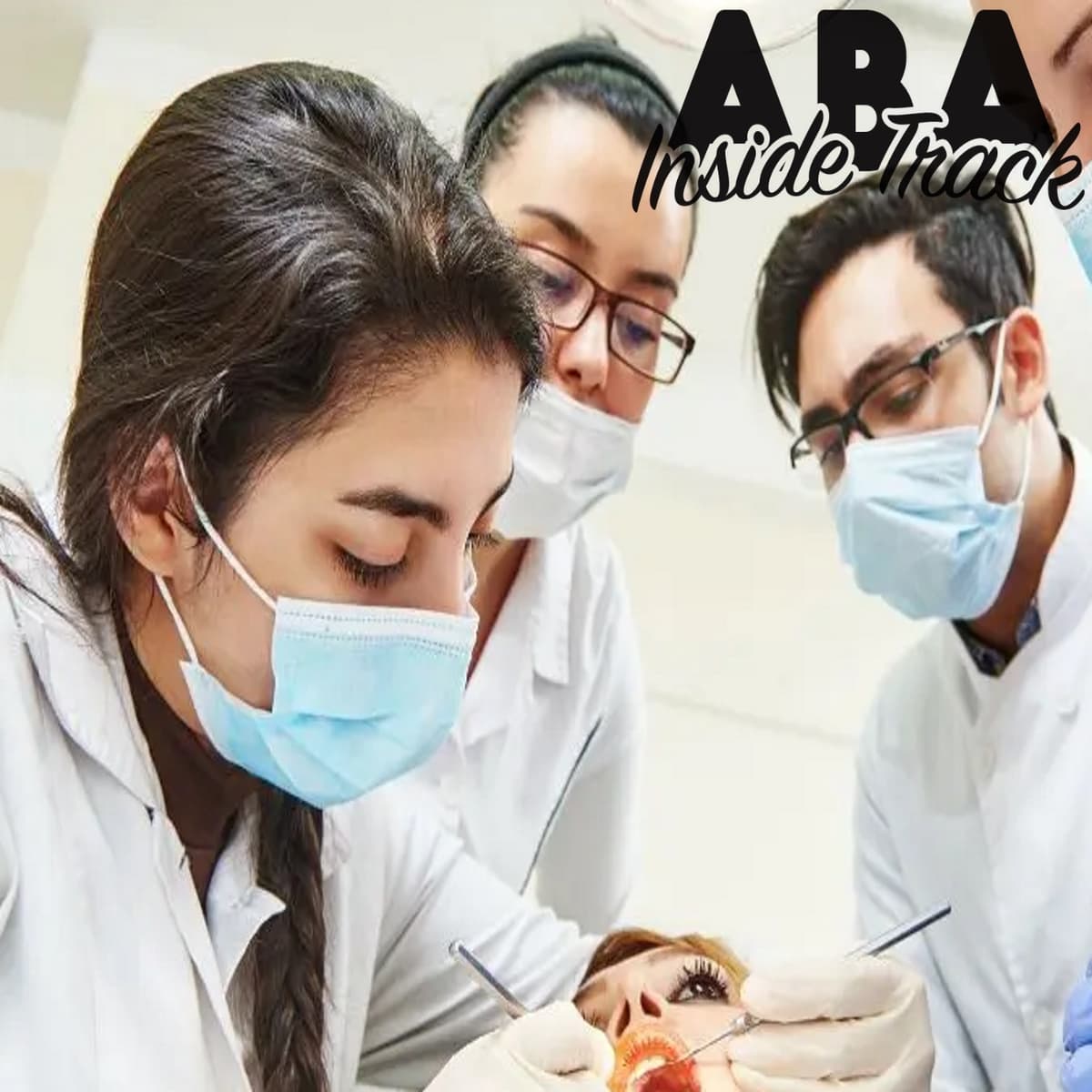 Episode 225 - Training Other Professionals w/ Dr. Dorothea Lerman - ABA Inside Track cover