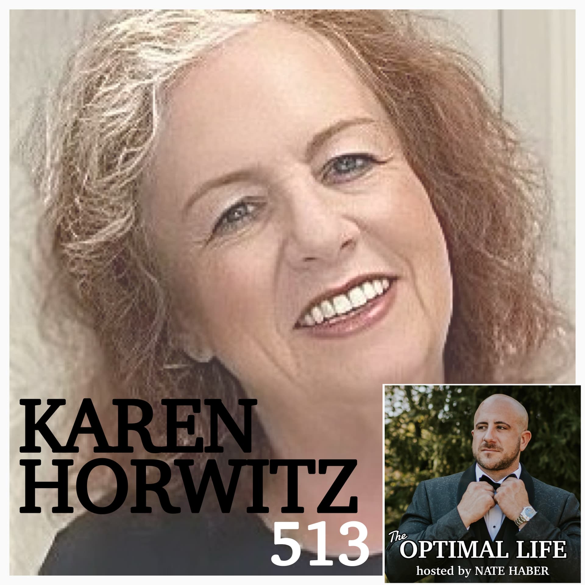 513. Karen Horwitz :: Our Education System Abuses its Teachers! - The Optimal Life cover