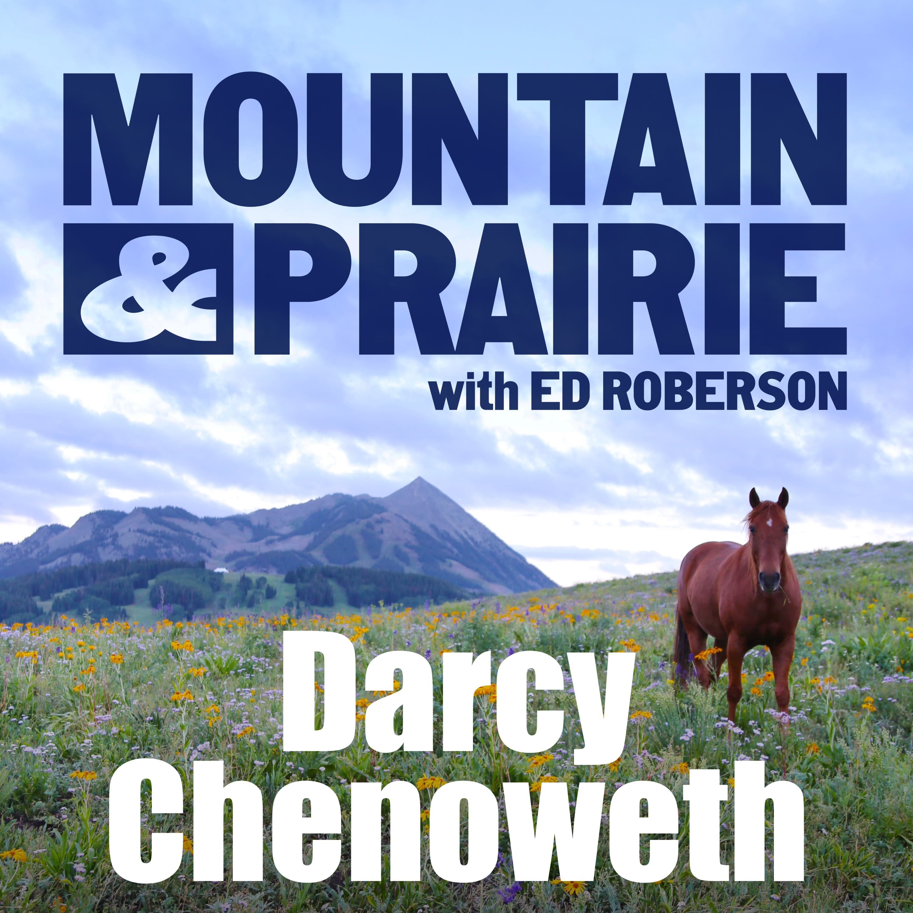 Darcy Chenoweth - Helping the Helpers - Mountain & Prairie with Ed Roberson cover