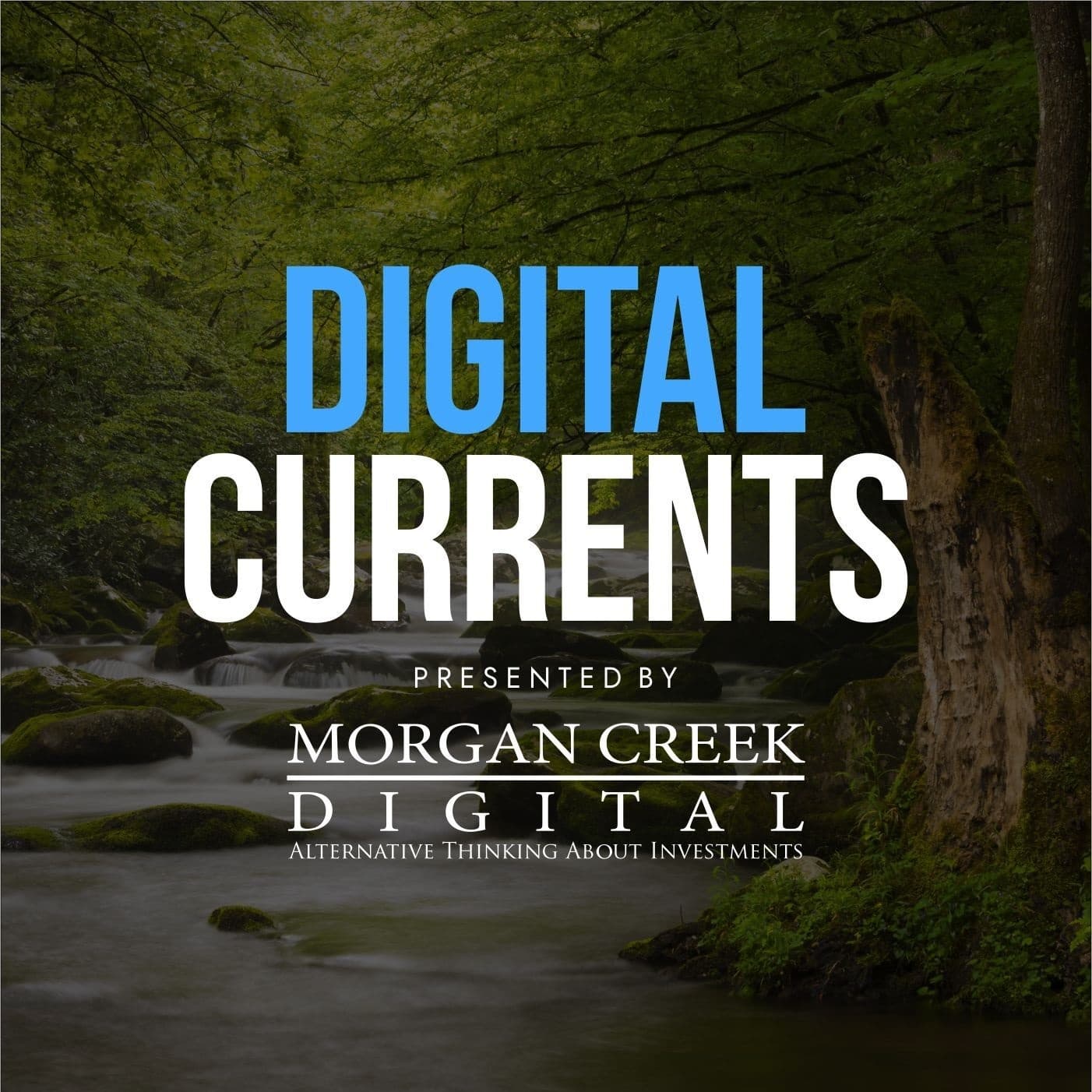 Digital Currents cover