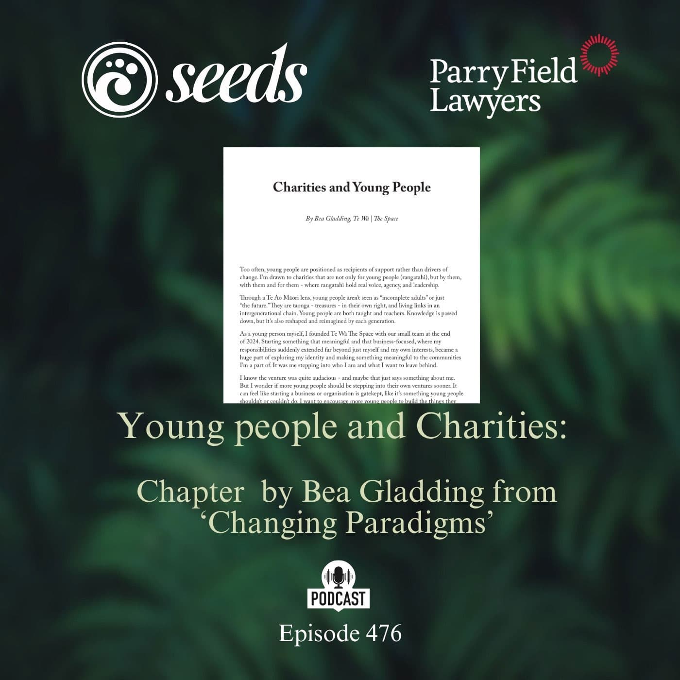 Young people and Charities: Chapter by Bea Gladding from 'Changing Paradigms' - Seeds cover
