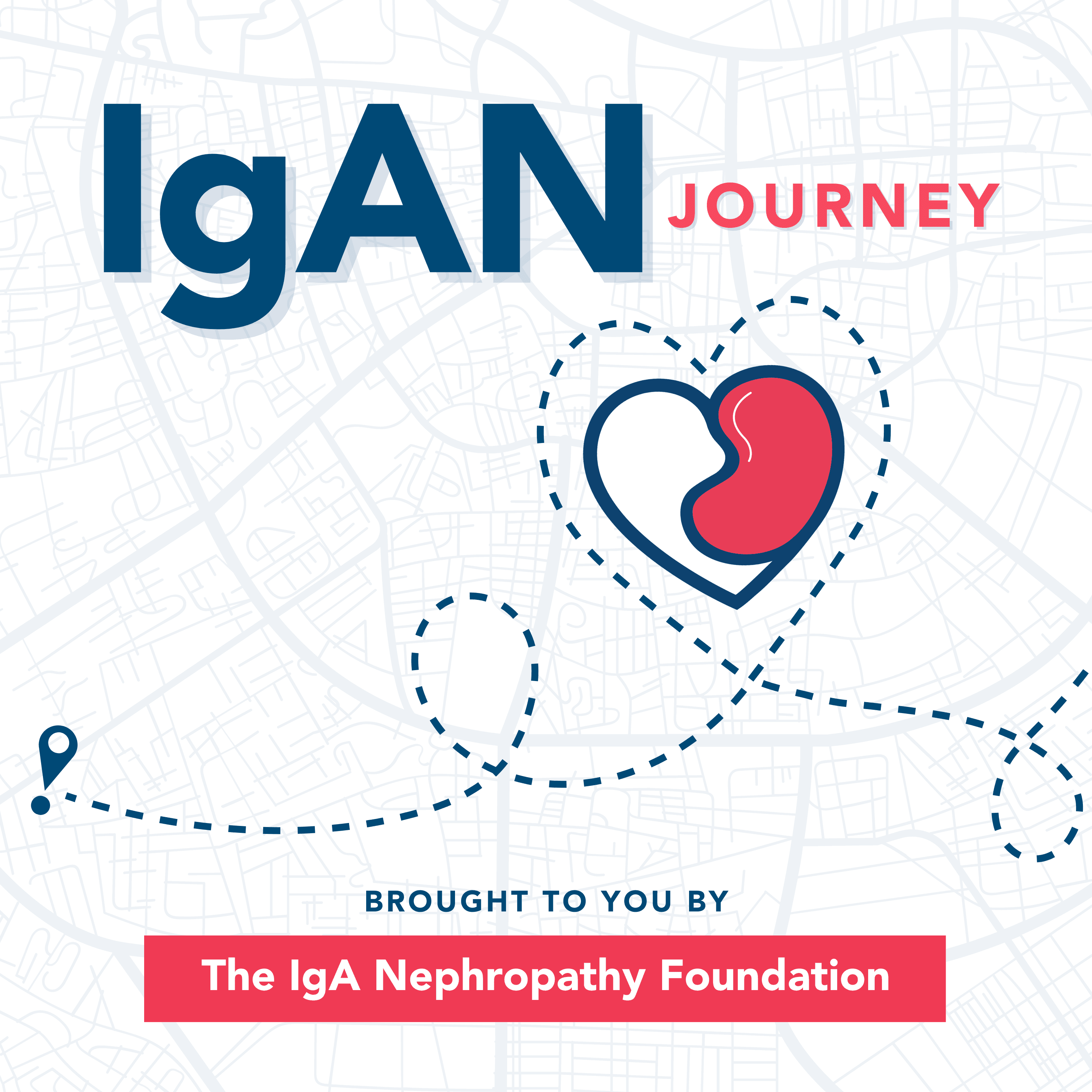 IgAN Journey cover