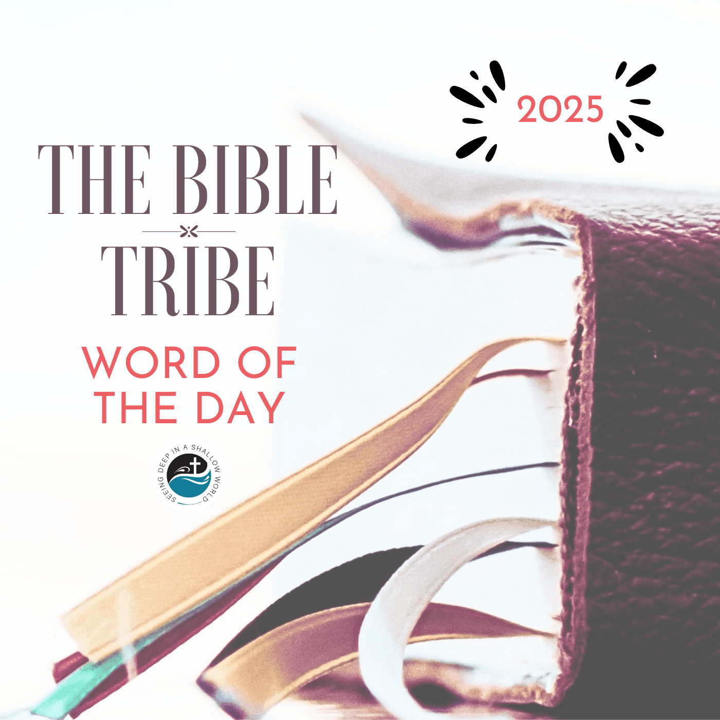 2025 Check-in! - The Bible Tribe Podcast cover